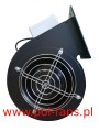 RMS 180 WS.JPG